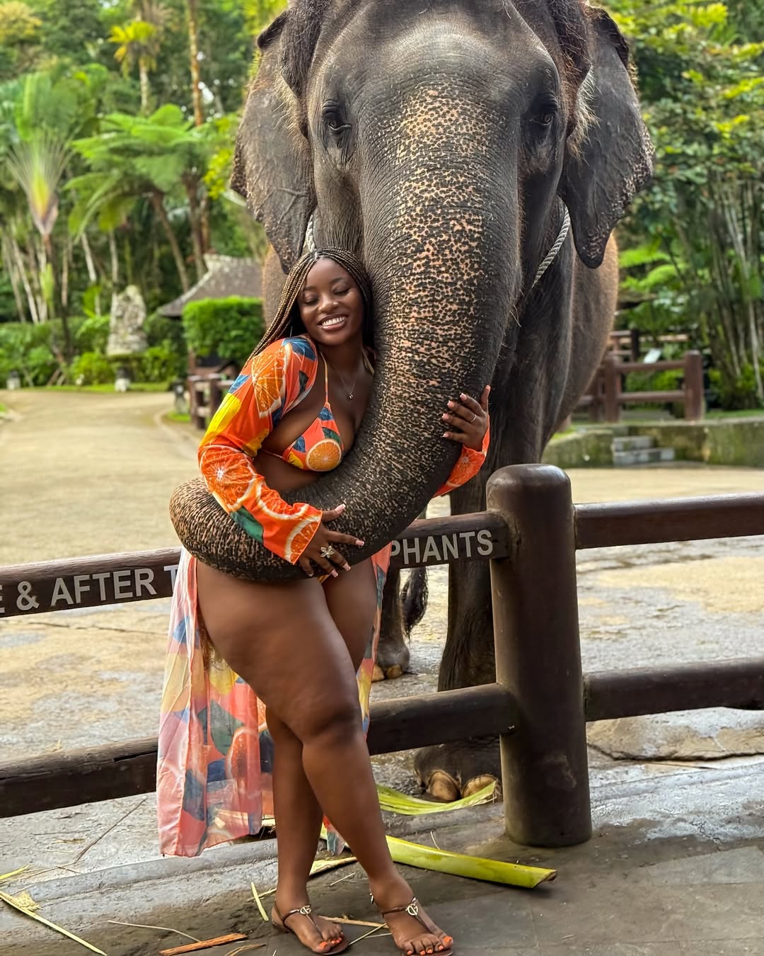 Traveler with elephant in Bali